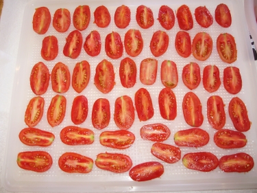 1. 'Rosada' tomatoes -  halved and spaced out on the mesh sheet ready for dehydrating.
