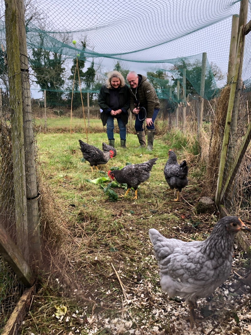 Gerry and I looking at the friendly and fast-growing 8 week-old  pullets and cockerels in net-covered run