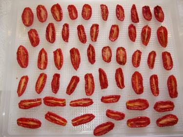 2. The same 'Rosada' - 14 hours of gentle dehydrating later. Semi-dried and succulently sweet!