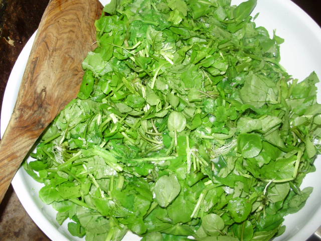4a. Add chopped watercress & parsley to pan