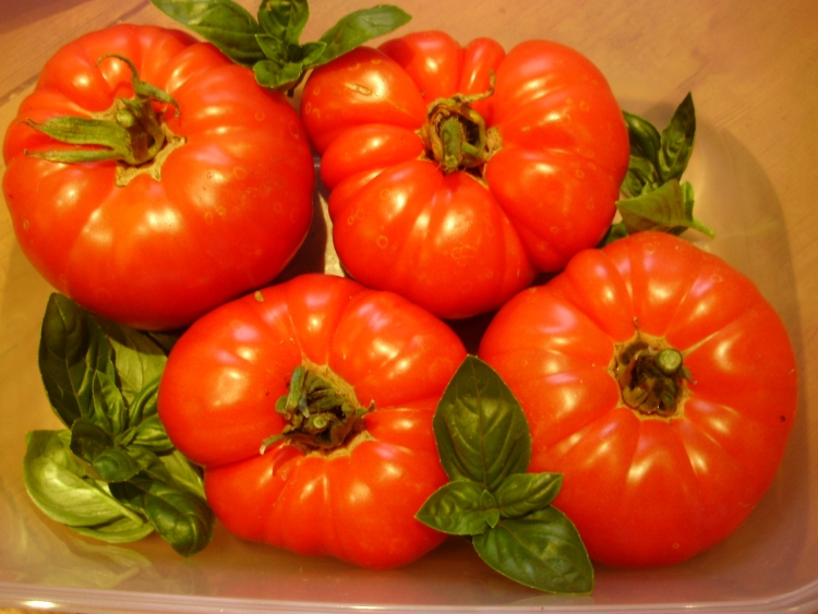 Pantano Romanesco - the best beefsteak tomato for a delicious Caprese salad.