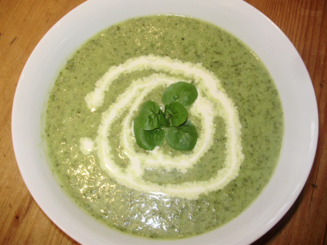8a. Cream of Watercress soup, garnished with a swirl of cream and some tiny watercress leaves